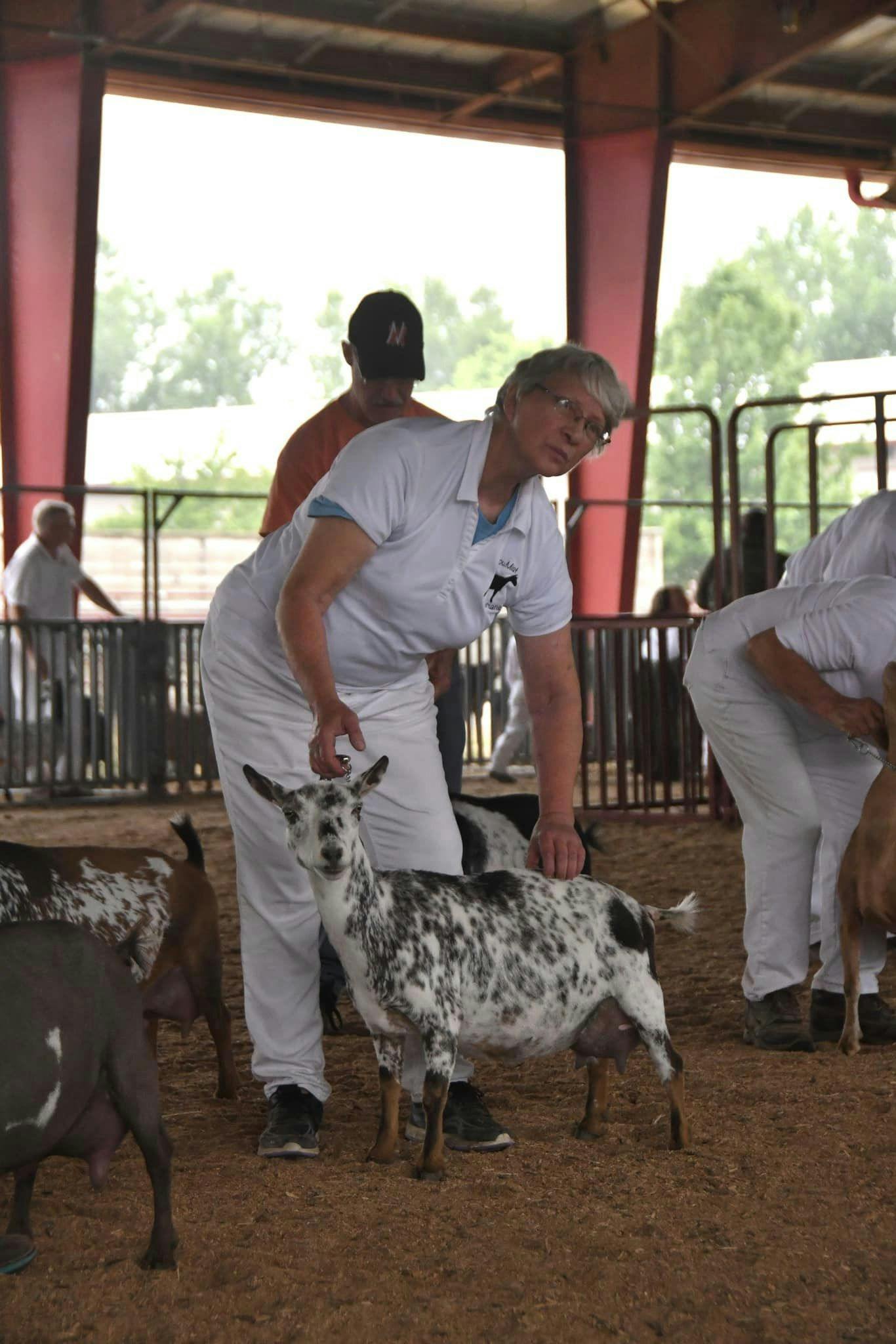 Sandi exhibiting a goat